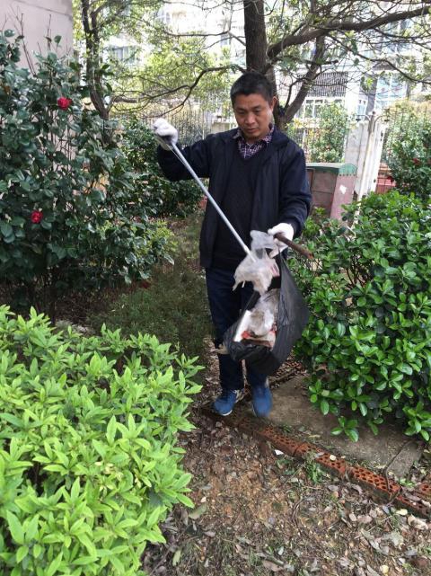 �����󺦡�Ԥ����������������������������������г�Ļ�����