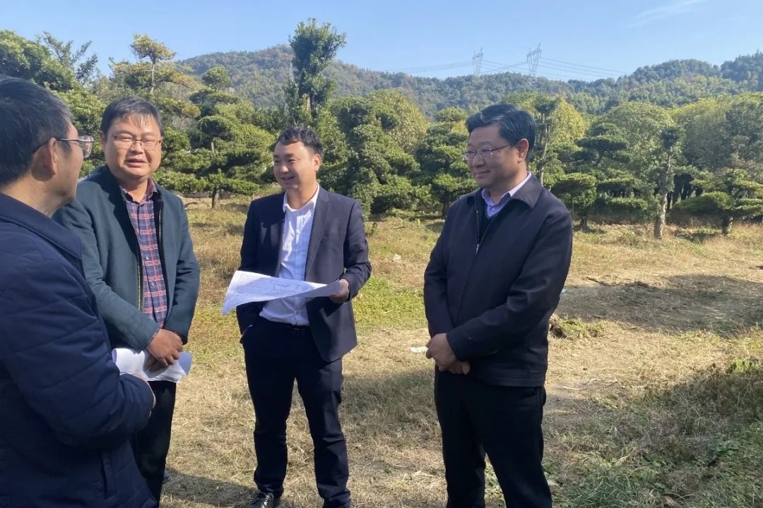 Ϳ��ƽ��������������Ŀ�;��޸߼ܶ�����Ŀ�ֳ������쵼����